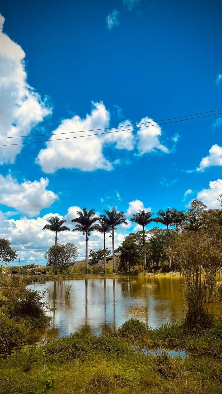 Casa Em - Fazenda Bela Vista *