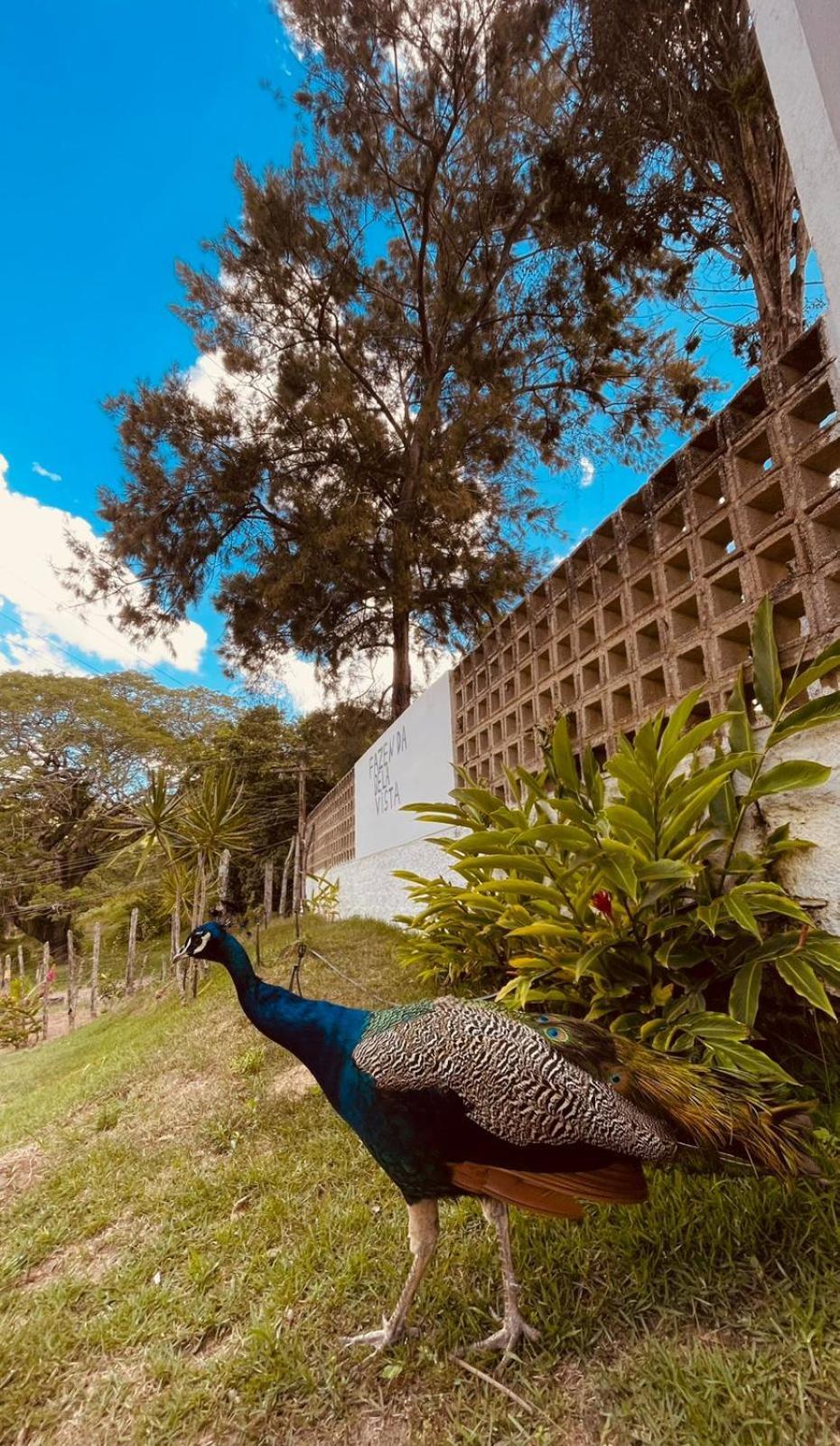 Holiday home Casa Em - Fazenda Bela Vista Garanhuns